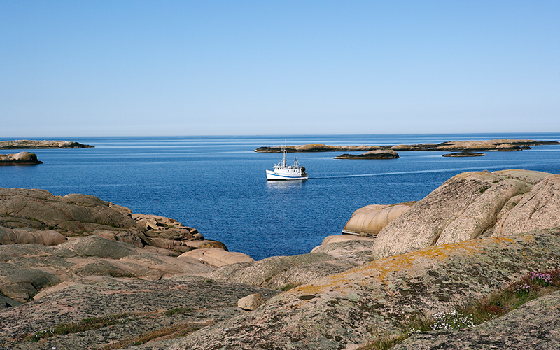 fiskebåt-stabbur-makrell